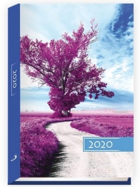 Terminarz 2020 B6 Kolorowy drzewo