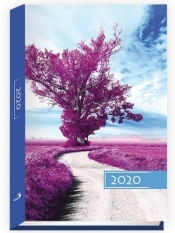 Terminarz 2020 B6 Kolorowy drzewo