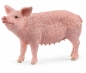 Schleich, Świnia (SLH13933)