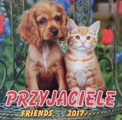 Kalendarz 2017 KD-19 ścienny duży Przyjaciele