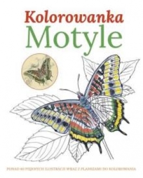 Motyle Kolorowanka - Opracowanie zbiorowe