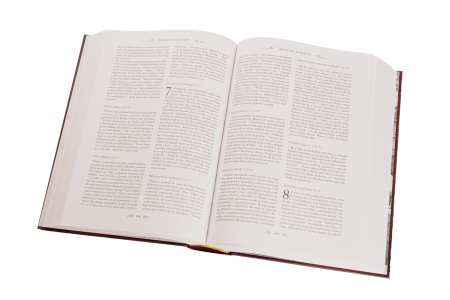 <img src='https://webimage.pl/pics/261/3/d978-83-8353-126-7-3.jpg'>