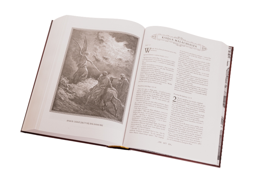 <img src='https://webimage.pl/pics/261/3/d978-83-8353-126-7-5.jpg'>