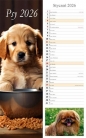 Kalendarz 2026 ścienny pasek Psy