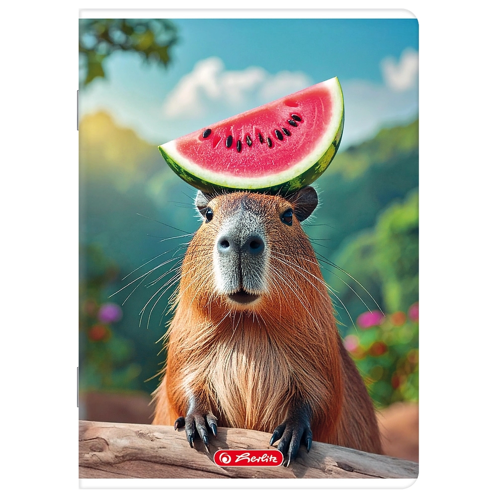 <img src='https://webimage.pl/pics/261/6/d5904017456261-5.png'>