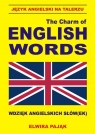 Język angielski na talerzu The Charm of English Words Wdzięk angielskich Pająk Elwira