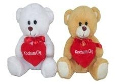 Miś z sercem 24cm MIX