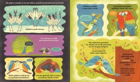 Co się kryje w gnieździe? Fascynujące ciekawostki o ptakach - Rachel Ignotofsky