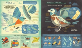 Co się kryje w gnieździe? Fascynujące ciekawostki o ptakach - Rachel Ignotofsky