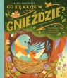 Co się kryje w gnieździe? Fascynujące ciekawostki o ptakach Rachel Ignotofsky