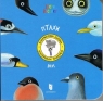 Ptaki / Birds (wersja ukraińska) Taberko Katya