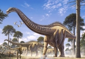 Puzzle 260 Supersaurus (27262) - Opracowanie zbiorowe
