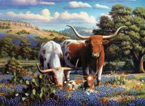 Ravensburger, Puzzle 500: Krowy długorogie (12000826)