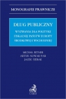 Dług publiczny. Wyzwania dla polityki fiskalnej państw Europy środkowej i Michał Bitner, Artur Nowak-Far, Jacek Sierak
