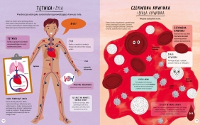 Encyklopedia rzeczy, które się mylą. Świat a wszechświat, tornado a huragan, mikroskop a teleskop oraz wiele innych par - Jane Wilsher