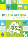 Przedszkolak w świecie barw. Kolorowanka 4+