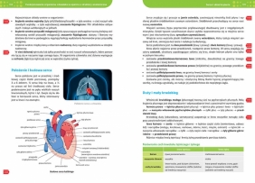 Repetytorium - liceum/technikum - biologia - 2026 - Maciej Mikołajczyk, Kornelia Wójcik, Jolanta Zygmunt