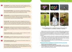 Repetytorium - liceum/technikum - biologia - 2026 - Maciej Mikołajczyk, Kornelia Wójcik, Jolanta Zygmunt