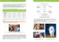 Repetytorium - liceum/technikum - biologia - 2026 - Maciej Mikołajczyk, Kornelia Wójcik, Jolanta Zygmunt