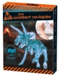 Zestaw naukowy - Wykopaliska, Szkielet Dinozaura