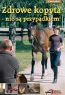 Zdrowe kopyta - nie są przypadkiem