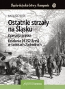 Ostatnie strzały na Śląsku Operacja praska Działania 31 i 52 Armii w Szczerepa Maciej