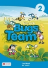 Bugs Team 2 Story Cards Carol Read, Ana Soberón