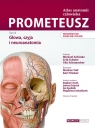 PROMETEUSZ Atlas anatomii człowieka Tom III. Mianownictwo ANGIELSKIE i POLSKIE M. Schuenke, E. Schulte, U. Schumacher