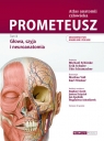 PROMETEUSZ Atlas anatomii człowieka Tom III. Mianownictwo ANGIELSKIE i POLSKIE Michael Schünke, Erik Schulte, U. Schumacher