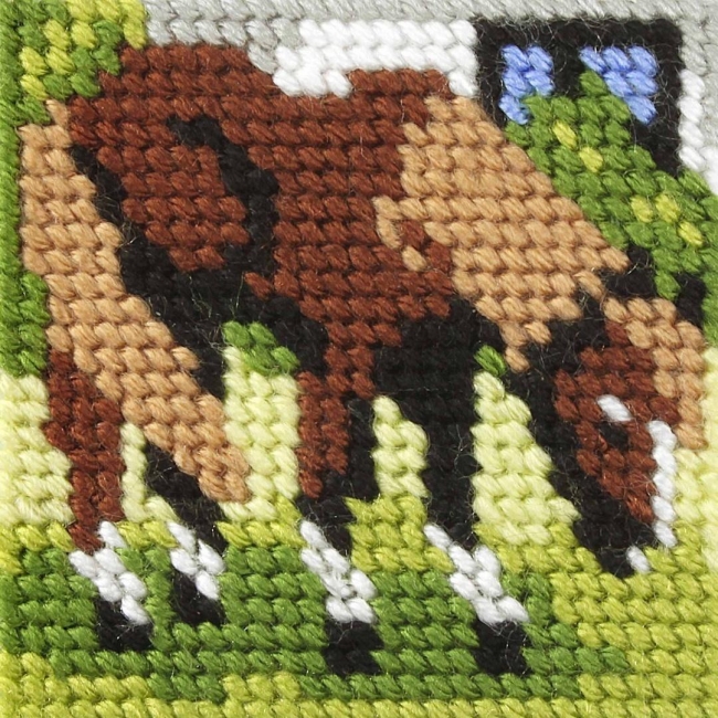 Haft. Moje pierwsze wyszywanie - Konik