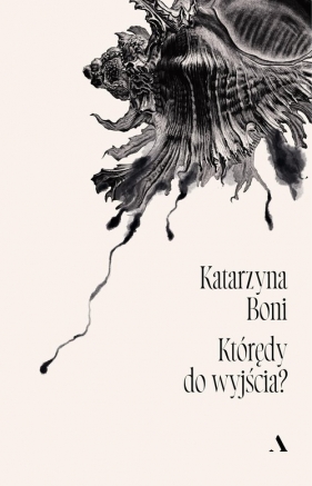 Którędy do wyjścia? - Katarzyna Boni