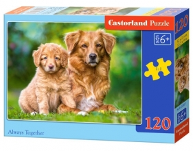 Puzzle 120: Always Together