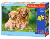 Puzzle 120: Always Together