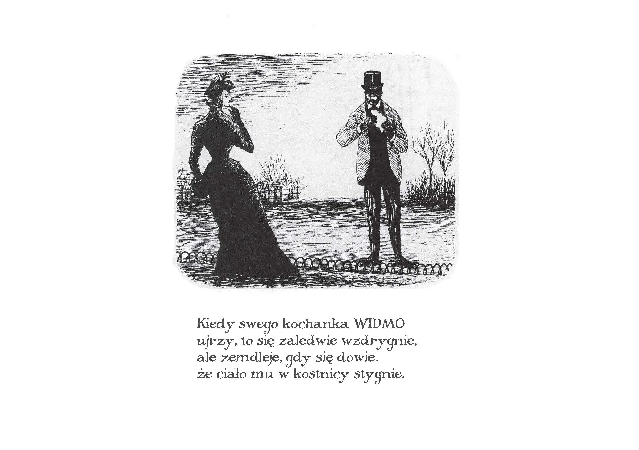 <img src='https://webimage.pl/pics/265/4/d9788384244265_002.jpg'>