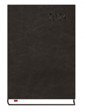 Kalendarz Asystent Alaska 2024, dzienny A5 - czarny (T-237A-V)