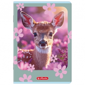 Zeszyt Herlitz Standard Animals A4/32k linia podwójna kolorowa, 1 szt