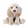  Pies Weimaraner