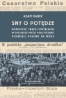 Sny o potędze Koncepcje i wątki imperialne w polskiej myśli politycznej Adam Danek