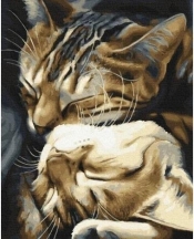 Malowanie po numerach - Śpiące koty 40x50cm