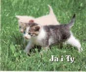 JA I TY PEREŁKI - Opracowanie zbiorowe