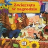 Zwierzęta w zagrodzie