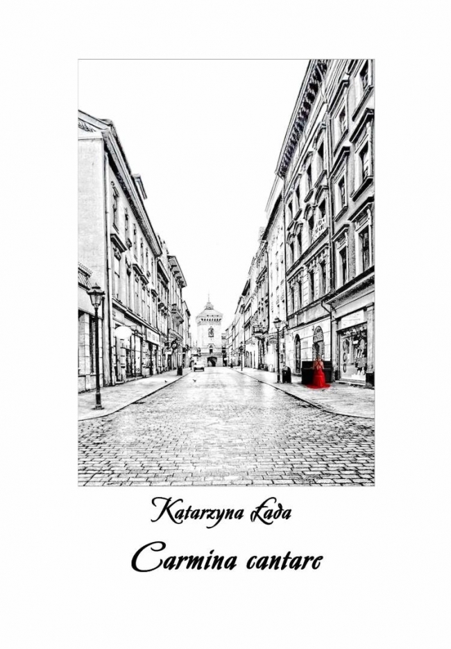 <img src='https://webimage.pl/pics/267/3/d9788368273267.jpg'>