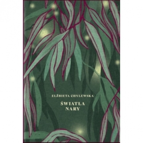 Światła Nary - Elżbieta Chylewska
