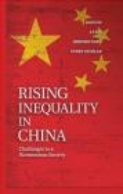 Rising Inequality in China