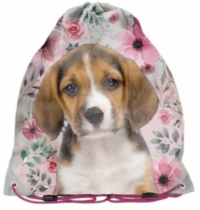 Worek na buty Dog 18-712PS PASO