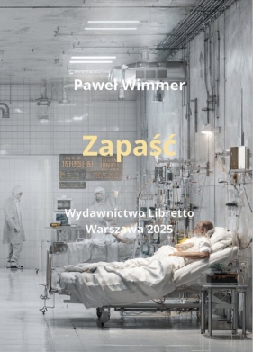Zapaść - Paweł Wimmer