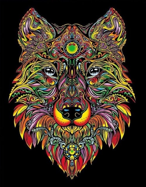 Kolorowanka Welwetowa Colorvelvet 47x35 cm Lupus