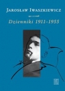 Dzienniki 1911-1955 Tom 1 Iwaszkiewicz Jarosław