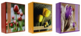 Album kieszeniowy Gedeon 300 kieszeni (CR46300/2WB Flower)