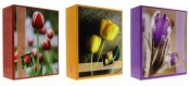 Album kieszeniowy Gedeon 300 kieszeni (CR46300/2WB Flower)